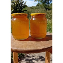 Мёд (Башкирия) Акация, 1 кг
