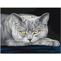 Картина по номерам на холсте "Серый кот" 30*40см (КХ3040_53834) ТРИ СОВЫ, с акриловыми красками