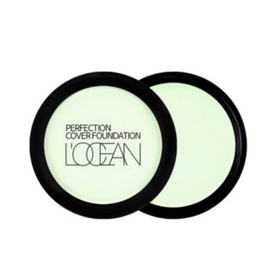 L’ocean Консилер / Perfection Cover Foundation #20 Aqua Light Green, 16 г