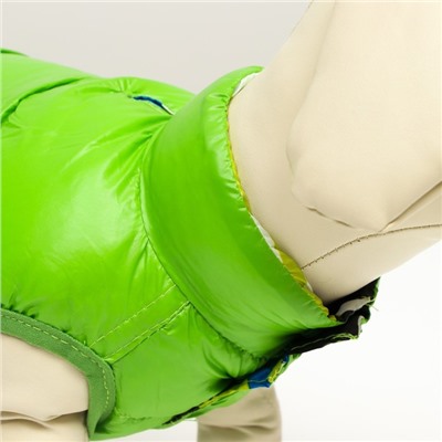 Куртка для собак двухсторонняя с принтом, размер 12 (ДС 28 см, ОГ 38 см, ОШ 27 см),зелёная