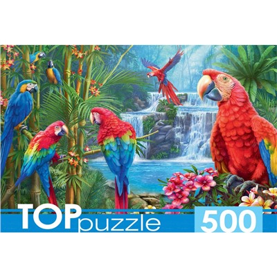 TOPpuzzle  500 элементов "Яркие попугаи" (ХТП500-6975)