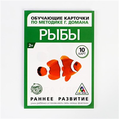 Обучающие карточки по методике Г. Домана «Рыбы», 10 карт, А6