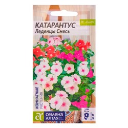 Семена комнатных цветов Катарантус "Леденцы", 0,05 г