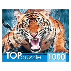 TOPpuzzle 1000 элементов "Грозный тигр" (ГИТП1000-2145)