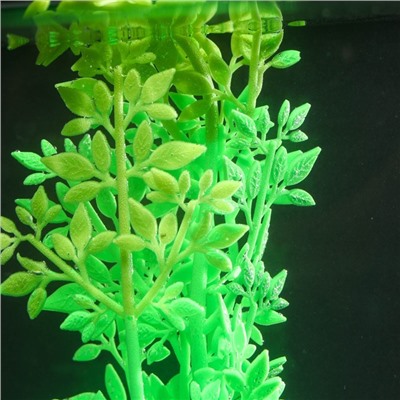 Растение силиконовое аквариумное, светящееся в темноте, 8 х 24 см, зелёное