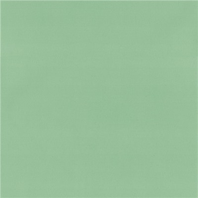 Рулонная штора «Плайн», 85х175 см, цвет светло-зеленый