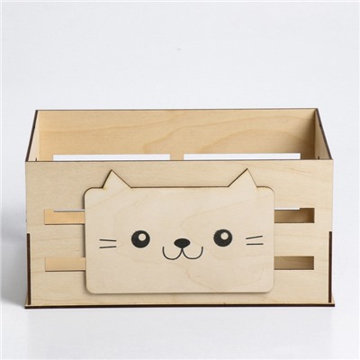Ящик для хранения «Кот», 300 × 150 × 200 мм