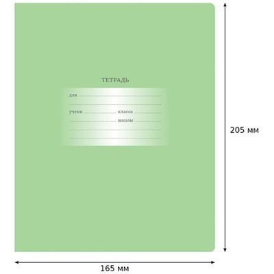 Тетрадь 24л. BG клетка "Первоклассная. Светло-зеленая" (Т5ск24 10588) обложка - мелованный картон