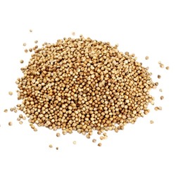 Кориандр зерно в/с, Вес 1 кг