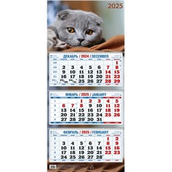 Календарь квартальный настен. трехблочный, 310*680мм, 2025г. "Милый котенок" (КБ09-25)
