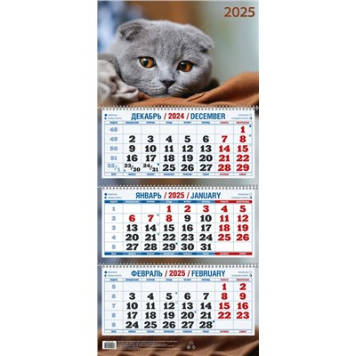 Календарь квартальный настен. трехблочный, 310*680мм, 2025г. "Милый котенок" (КБ09-25)