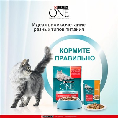 Сухой корм Purinа One для стерилизованных кошек, лосось/пшеница, 750 г