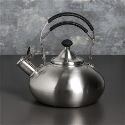 Чайник со свистком «Султан», 2,8 л, капсулированное дно, индукция, цвет МИКС