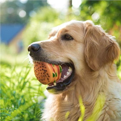 Игрушка пищащая "Гамбургер с салатом" для собак, 9,5 см, микс цветов