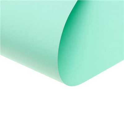 Бумага цветная 650*500мм Fabriano COLORE 185г/м² VERDE бледно- зелёный S3215618