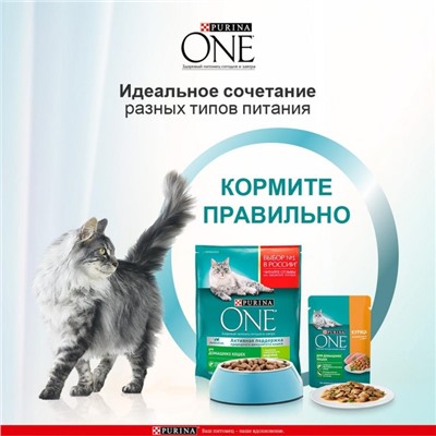 Влажный корм Purinа One для домашних кошек, курица/морковь, 75г