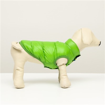 Куртка для собак двухсторонняя с принтом, размер 12 (ДС 28 см, ОГ 38 см, ОШ 27 см),зелёная