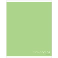 Тетрадь 48л. ArtSpace "Моноколор. Pale color. Light green" клетка (Т48к_40428)