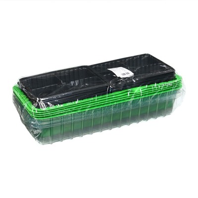 Мини-парник для рассады, 40 × 16 × 13 см, 2 вставки, 8 ячеек, зелёный, Greengo