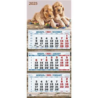 Календарь квартальный настен. трехблочный, 310*680мм, 2025г. "Два щенка" (КБ06-25)
