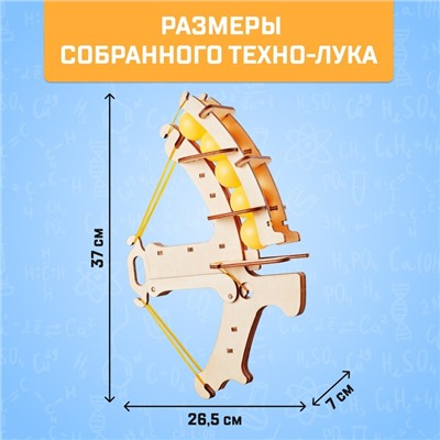 Набор для опытов «Техно-лук»