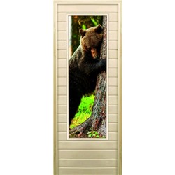 Дверь для бани со стеклом (43*129), "Медведь-4", 170×70см, коробка из осины
