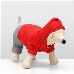Комбинезон зимний для собак с капюшоном, XS (ДС 18-20 см, ОШ 24 см, ОГ 27-30 см)