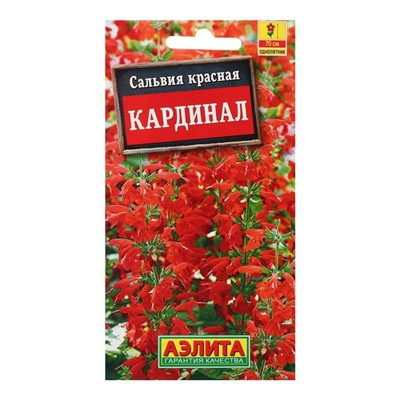 Семена цветов Сальвия "Кардинал", О, 0,1 г