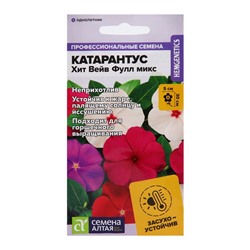 Семена цветов Катарантус "Теплая волна", смесь окрасок, 7 шт.