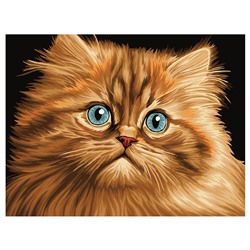 Картина по номерам на картоне "Пушистый котенок" 30*40см (КK_53805) ТРИ СОВЫ, с акриловыми красками