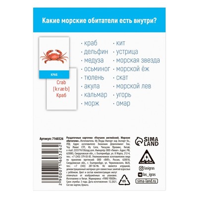 Раздаточные карточки «Изучаем английский. Морские обитатели», 3+