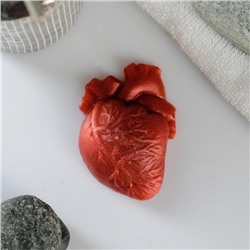Фигурное мыло "Анатомическое сердце" 35гр