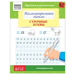 Пропись ТРИ СОВЫ А5 "Каллиграфическое письмо. Строчные буквы" 6-7 лет (ПрА5_16_58368) 16стр.