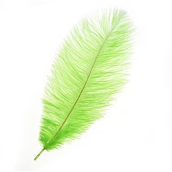 Перо для декора, размер: 30-35 см, цвет зелёный