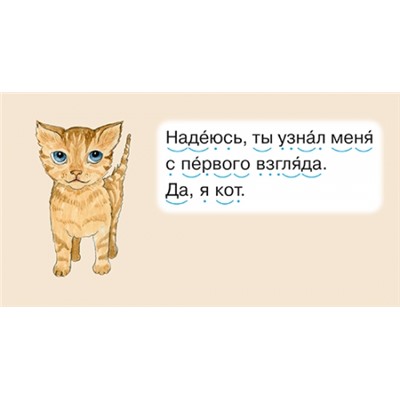 Кот (Артикул: 34506)