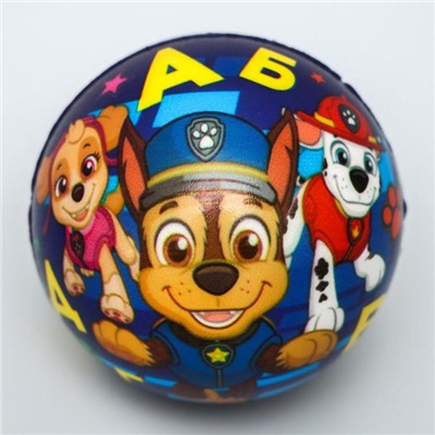 Мягкий мяч PAW PATROL "Алфавит" 6,3см, микс