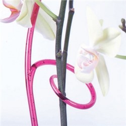 Держатель для орхидеи ,  h 60 см.