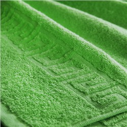 Полотенце махровое Туркменистан 50/90 см цвет молодая зелень PARADISE GREEN
