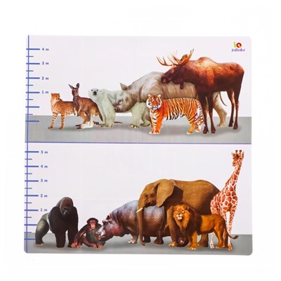 Набор фигурок животных с обучающими карточками «Животные мира»