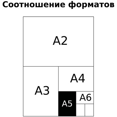 Тетрадь 24л. BG клетка "Первоклассная. Светло-зеленая" (Т5ск24 10588) обложка - мелованный картон