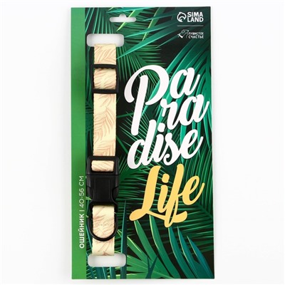 Ошейник Paradise life, застёжка - фастекс, 2.5 см, 40-55 см