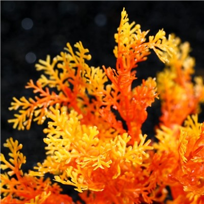 Растение искусственное аквариумное, 15 см, оранжевое, 1 шт.