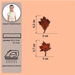 Термоаппликация «Листья», 3 × 4,2, 3 × 3,7 см, 2 шт