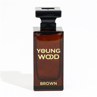 Туалетная вода мужская Young Wood "Brown", 100 мл