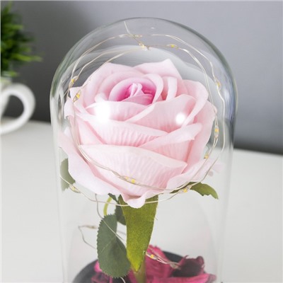 Ночник "Розовая роза" LED 3AAA 8х8х17 см