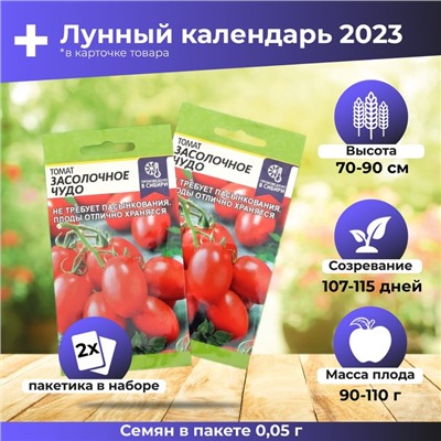 Семена Томат "Засолочное Чудо", среднеранний, цп, 0,05 г набор 2 шт