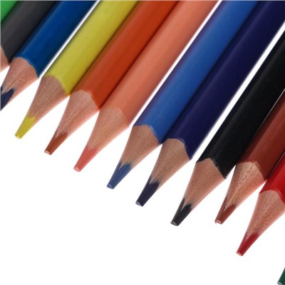 Карандаши цветные 36 цветов Funcolor пластиковые, МИКС