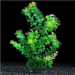 Растение искусственное аквариумное, 6 х 24 см, зелёное, 1 шт.