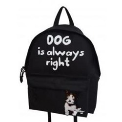 Рюкзак молодежный 90060 "Dog is always right (собака)" аппликация из двусторонних пайеток 39х30х11 см Centrum {Россия}