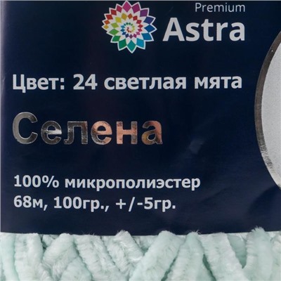 Пряжа Astra Premium 'Селена' 100% микрополиэстер 68м/100гр (24 светлая мята)